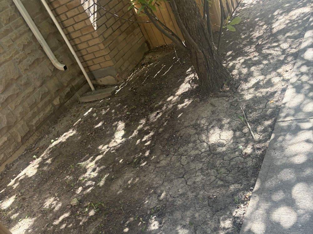 Fall cleanup after — leaves and debris cleared from the bed beside the walkway