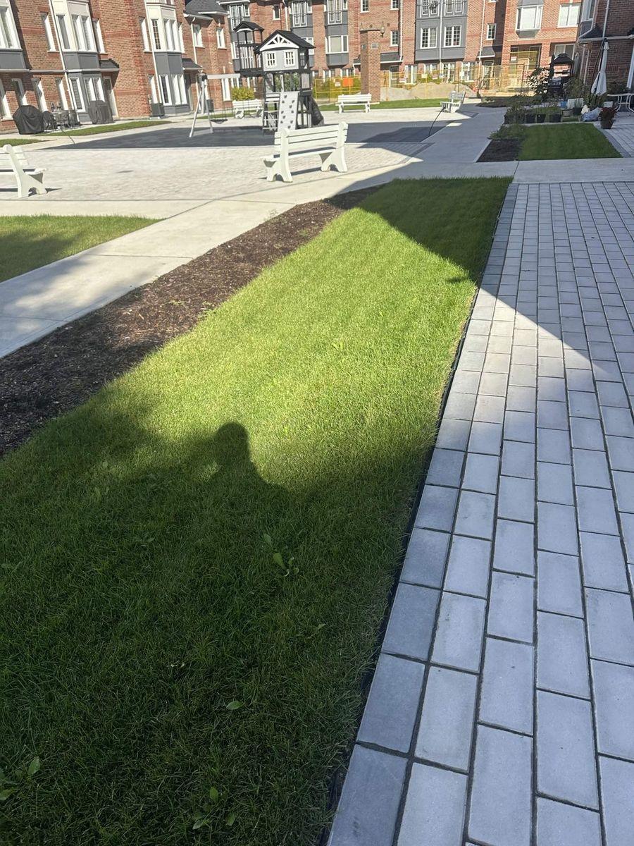 Finished interlock walkway beside new sod in the townhouse community