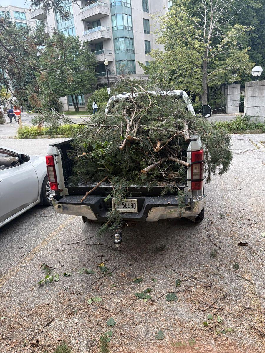 Truck loaded with branches outside the condo tower, ready to haul away