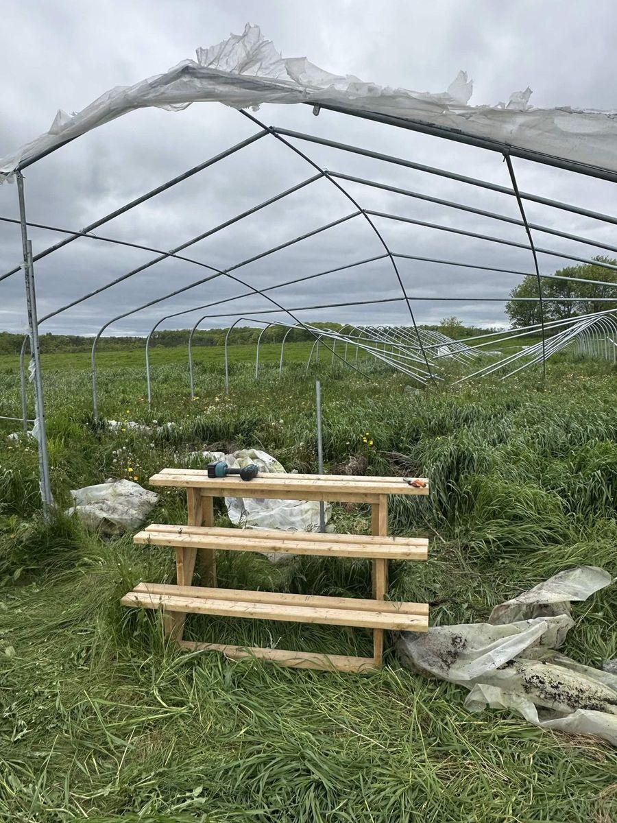The old hoop greenhouse with its plastic cover torn