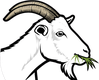 Goats Landscaping goat logo